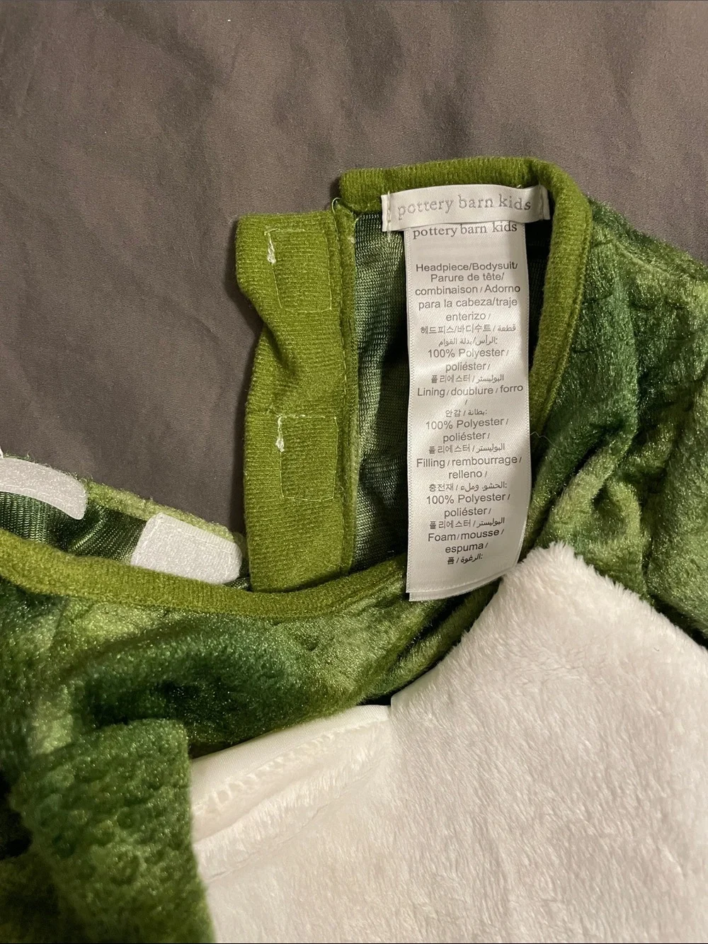 Pottery Barn Kids Baby T. Rex Egg Halloween Costume